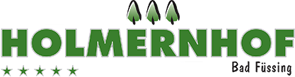 holm-logo_frei.png